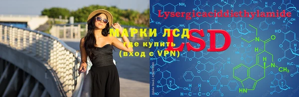 индика Переславль-Залесский