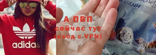 шишки Заволжск