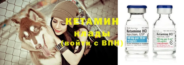 МДПВ Пересвет