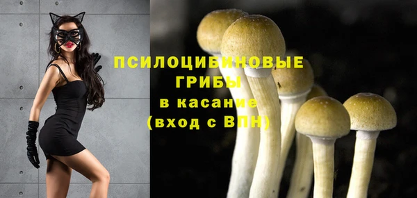 амф Осташков