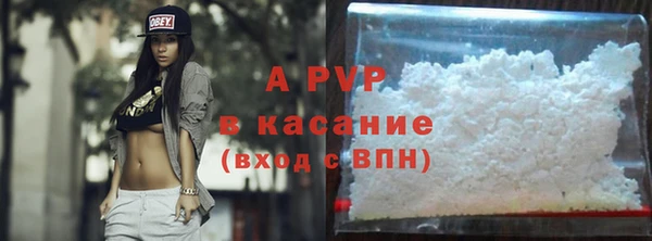 амф Осташков