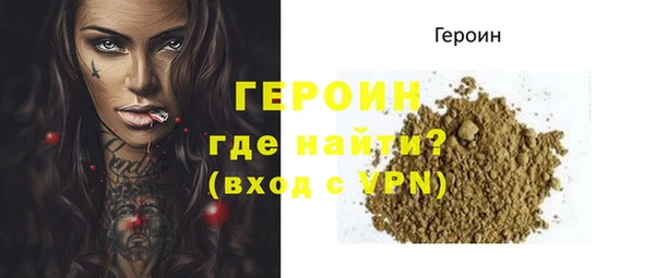 МДПВ Пересвет