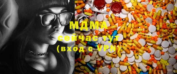 МДПВ Пересвет