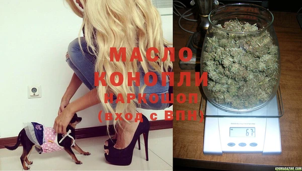 амф Осташков