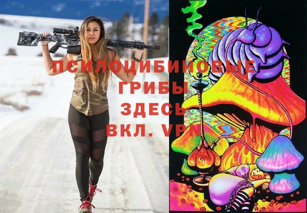 амф Осташков