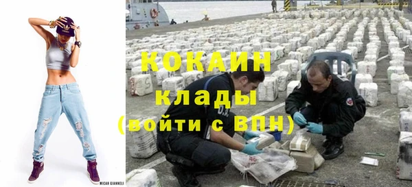 индика Переславль-Залесский
