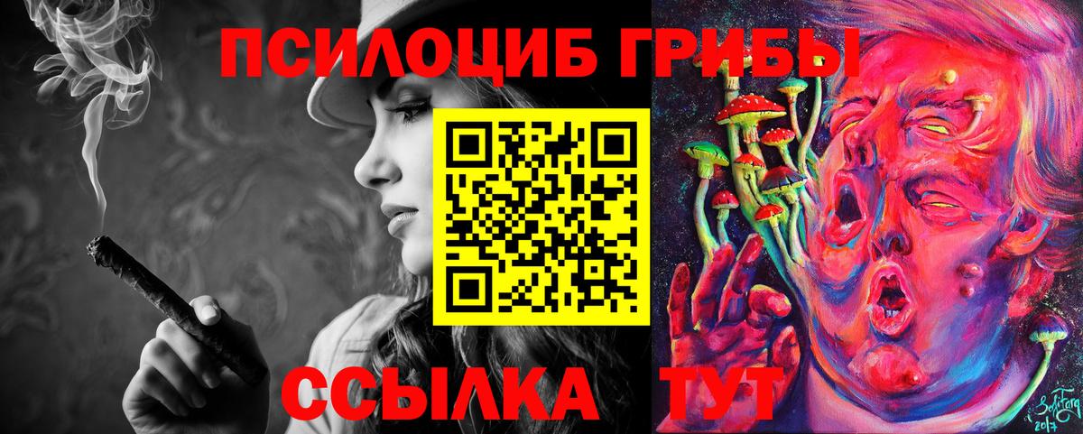Псилоцибиновые грибы Cubensis  Вход с VPN  Клин  Псилоцибиновые грибы Psilocybine cubensis 