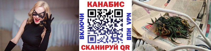 Бошки марихуана сатива купить наркотики сайты Клин